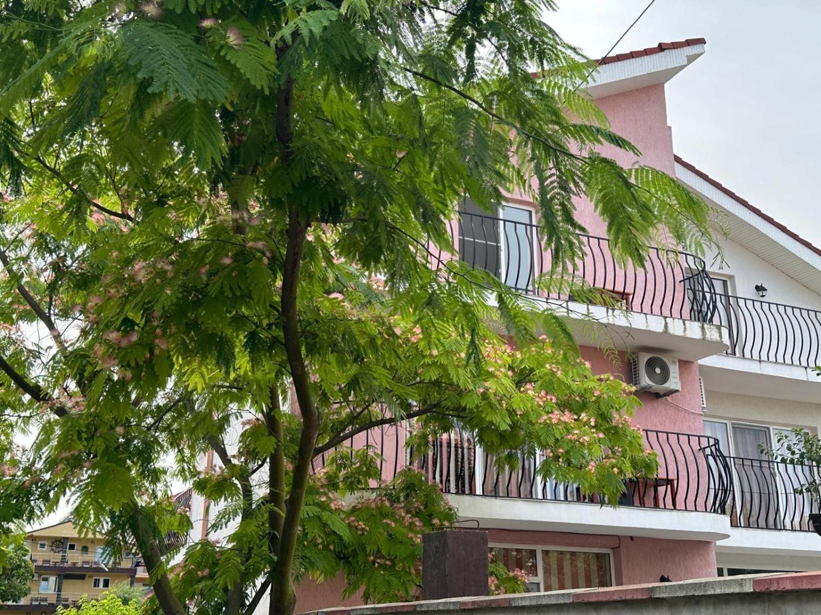 Vila Lucy Costinesti Exterior foto